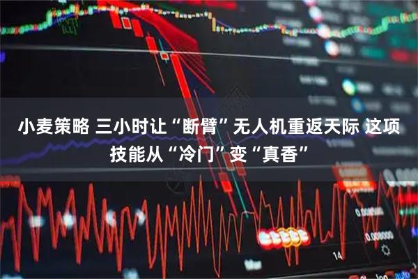 小麦策略 三小时让“断臂”无人机重返天际 这项技能从“冷门”变“真香”