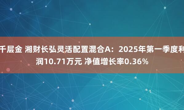 千层金 湘财长弘灵活配置混合A：2025年第一季度利润10.71万元 净值增长率0.36%