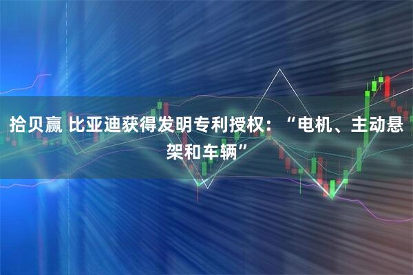 拾贝赢 比亚迪获得发明专利授权：“电机、主动悬架和车辆”